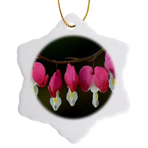 3drose, Canada, Manitoba, Winnipeg. Bleeding Heart Flowers., 3 inch Snowflake Porcelain Ornament