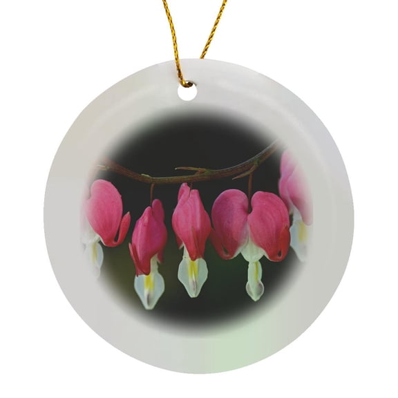 3drose, Canada, Manitoba, Winnipeg. Bleeding Heart Flowers., Circle Porcelain Ornament