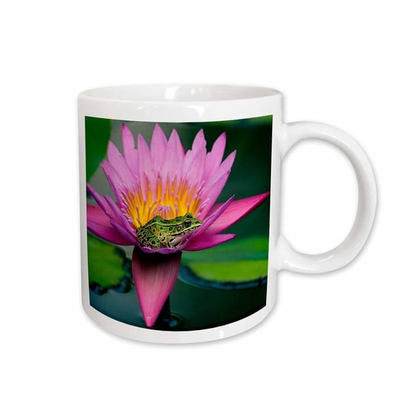 3drose, Canada, Manitoba, Winnipeg. Northern Leopard Frog in Lily Pad Flower., 11oz Mug