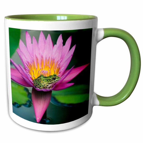 3drose, Canada, Manitoba, Winnipeg. Northern Leopard Frog in Lily Pad Flower., 11oz Two-tone Green Mug