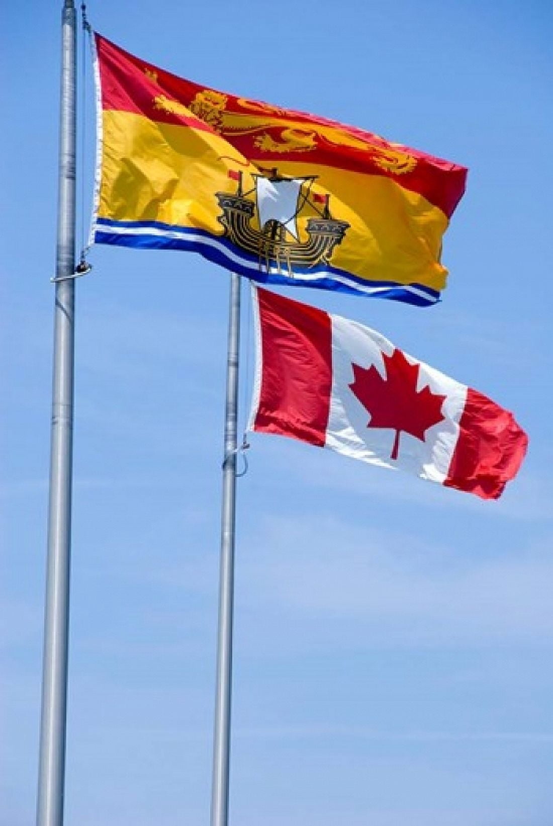 Canada New Brunswick Flag Canvas Art - Cindy Miller Hopkins DanitaDelimont (24 x 36)