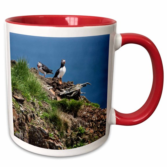 3drose, Canada, Newfoundland, Elliston. Atlantic Puffins on Cliff Ledge, 11oz Two-tone Red Mug