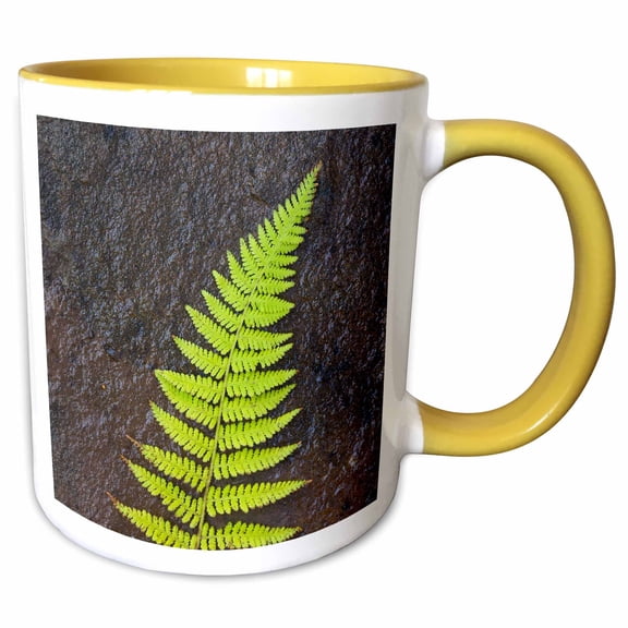 3drose, Canada, Nova Scotia, Cape Breton, Fern, 15oz Two-tone Yellow Mug