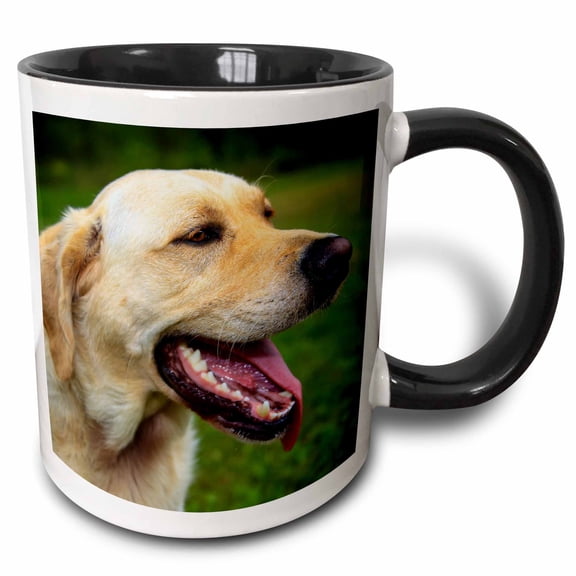 3drose, Canada, Nova Scotia, Cape Breton, Labrador Retriever, 11oz Two-tone Black Mug
