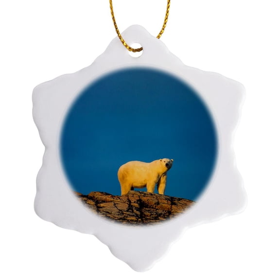 3drose, Canada, Nunavut Territory, Adult Male Polar Bear Standing, 3 inch Snowflake Porcelain Ornament