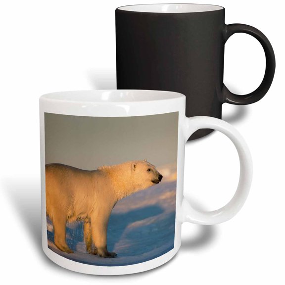 3drose, Canada, Nunavut Territory, Polar Bear Walking on Melting Ice, 11oz Magic Transforming Mug