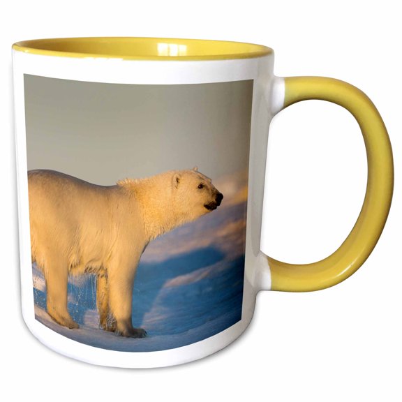 3drose, Canada, Nunavut Territory, Polar Bear Walking on Melting Ice, 11oz Two-tone Yellow Mug