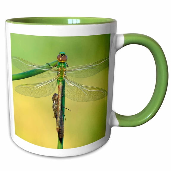 3drose, Canada, Ontario. Green Darner Dragonflies on Stem., 15oz Two-tone Green Mug