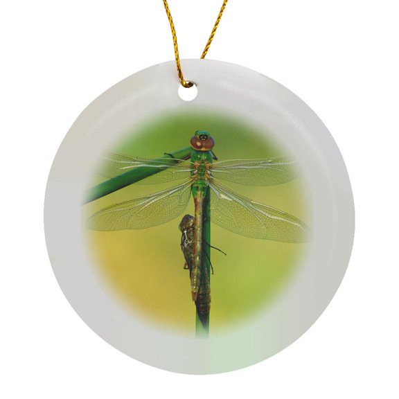 3drose, Canada, Ontario. Green Darner Dragonflies on Stem., Circle Porcelain Ornament