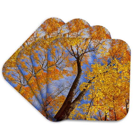 3drose, Canada, Ontario, Parry Sound. Sugar Maple Trees in Autumn., Set of 4 Coasters - Soft