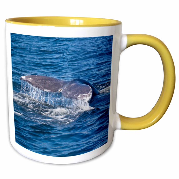 3drose, Canada, Pacific Rim National Park Reserve, Gray Whale Tail, 11oz Two-tone Yellow Mug