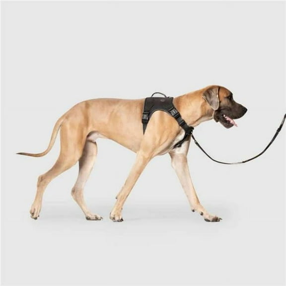 Canada Pooch 628284120636 Dog Complete Control Harness, Black - Medium