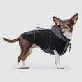 thumbnail image 1 of Canada Pooch Cool Factor Hoodie Teddy-Bear fleece Dog Hoodie (Black/Grey, 1 Count (Pack of 1)), 1 of 3