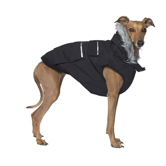 Canada Pooch Everest Explorer Fleece Lined Insulated Dog Coat (Black, 14+ (13-15" back length, relaxed fit))