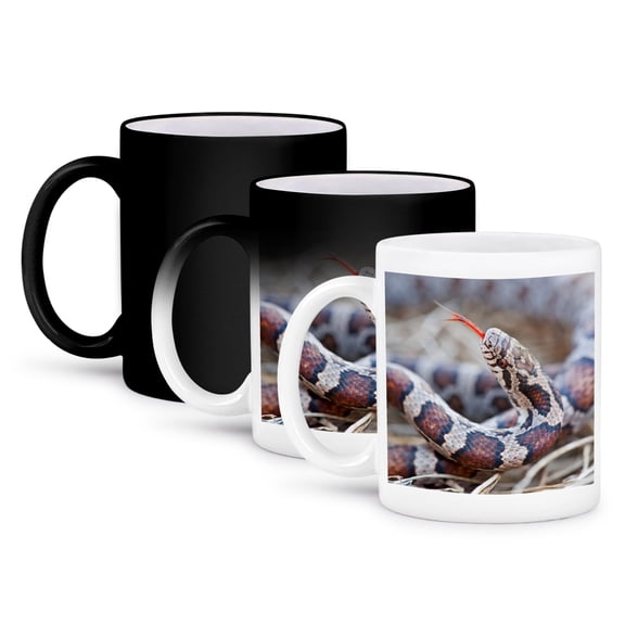 3dRose, Canada, Quebec, Riviere des Prairies Park. Milk snake close-up., 11oz Magic Transforming Mug
