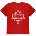 thumbnail image 1 of Canada The Nicer Americans Youth T Shirt Red YMD, 1 of 1