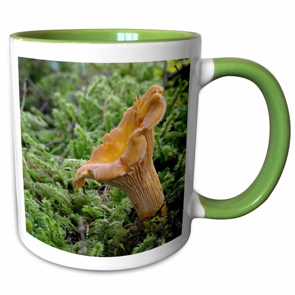 3drose, Canada, Vancouver. Golden Chanterelle Surrounded by Moss, 11oz Two-tone Green Mug