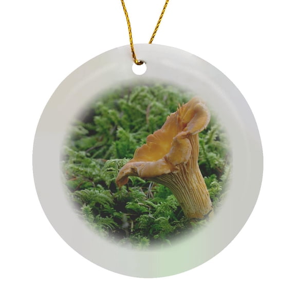 3drose, Canada, Vancouver. Golden Chanterelle Surrounded by Moss, Circle Porcelain Ornament