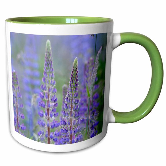 3drose, Canada, Vancouver Island. Lupine, 11oz Two-tone Green Mug