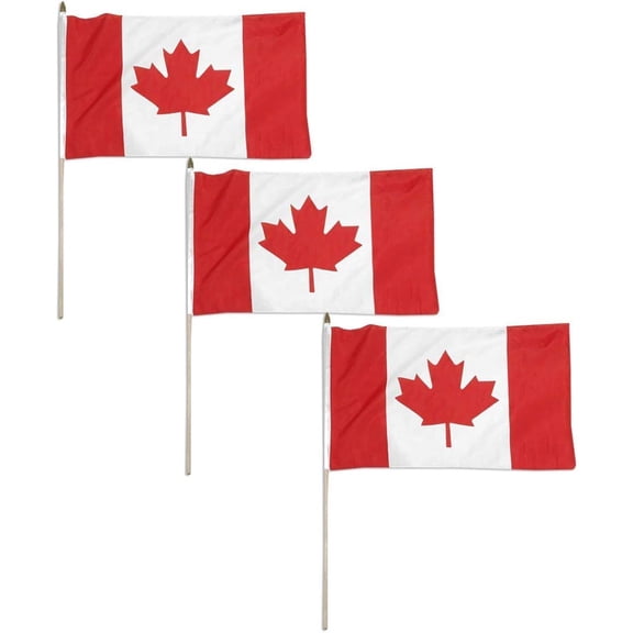 Canada flag 12 x 18 inch - 3 PK