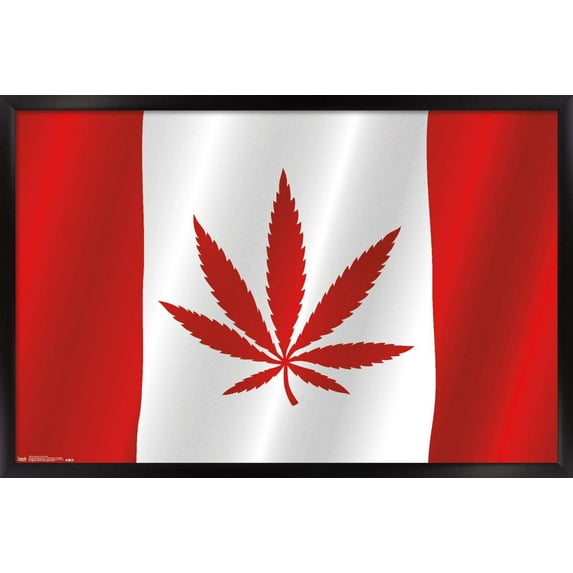 Canadian Hemp Flag Wall Poster, 14.725" x 22.375", Framed