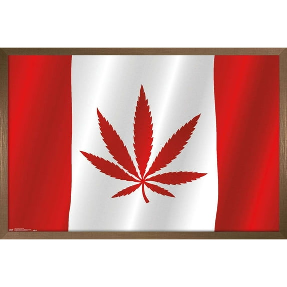 Canadian Hemp Flag Wall Poster, 22.375" x 34", Framed