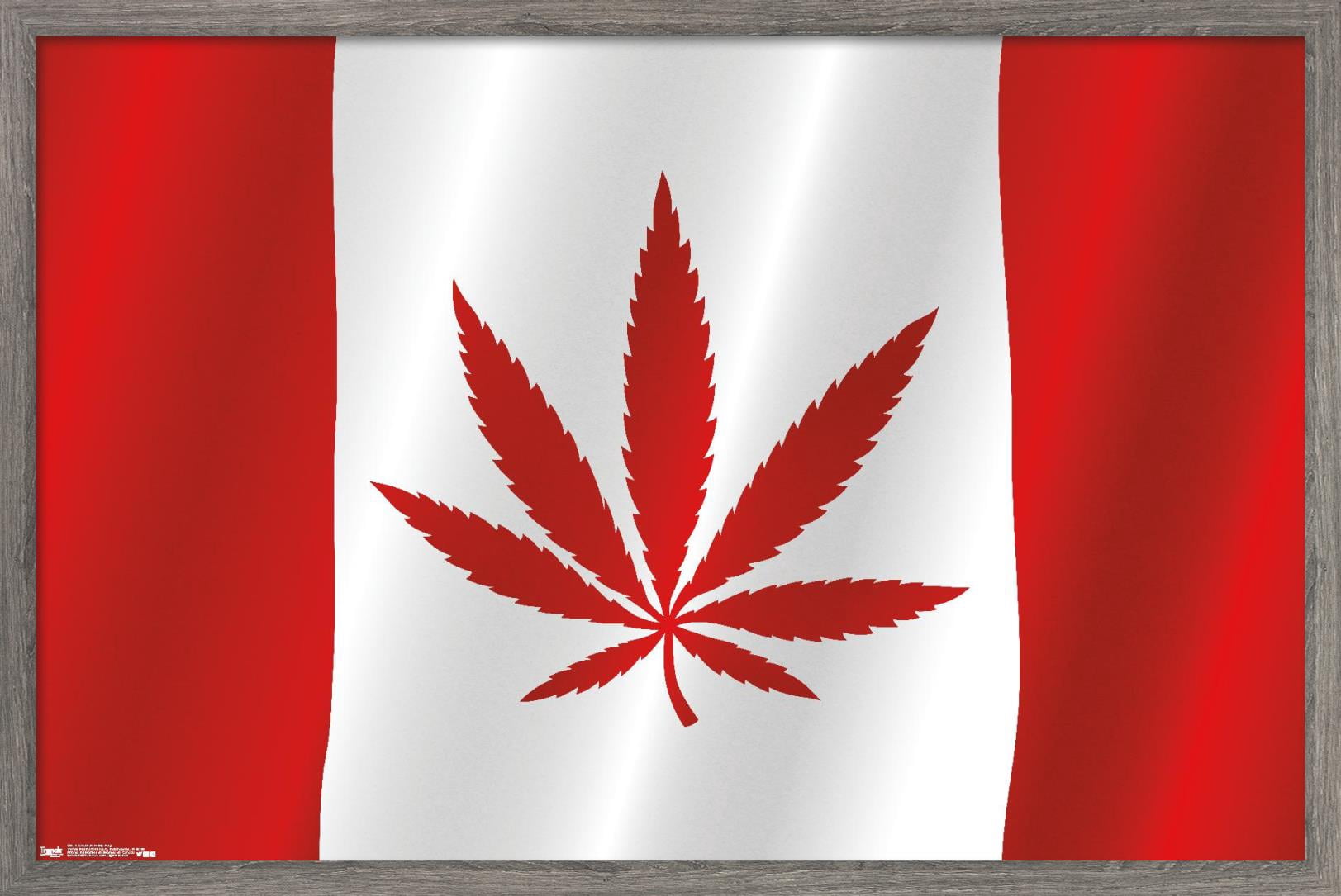 Canadian Hemp Flag Wall Poster, 22.375" x 34", Framed