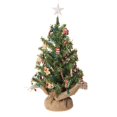 thumbnail image 1 of Canadian Pine Tree with Burlap Base: 12 inches, 1 of 1