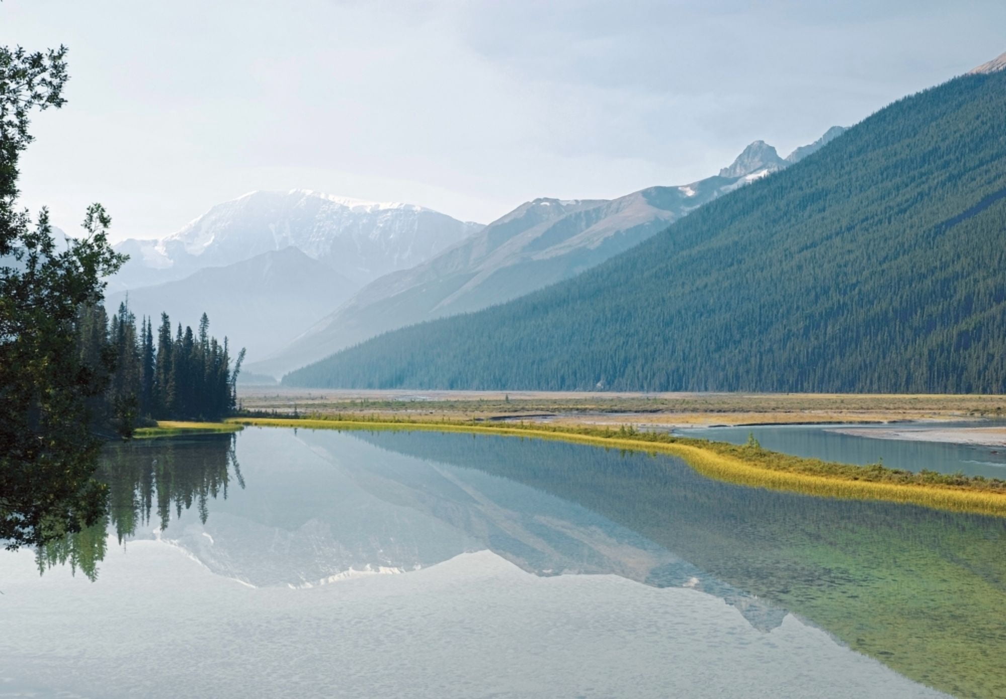 Canadian Rockies Reflected In Beauty Creek Jasper National Park Alberta Canada Canvas Art - Philippe Widling Design Pics (34 x 24)