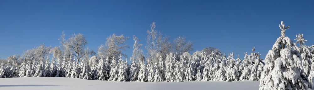 Canadian Winter Panorama Foster Quebec Canada Canvas Art - David Chapman Design Pics (40 x 11)