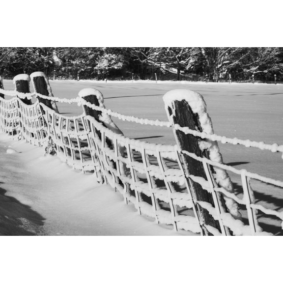 Canadian winter Ville de Lac Brome Quebec Canada Canvas Art - David Chapman Design Pics (19 x 12)