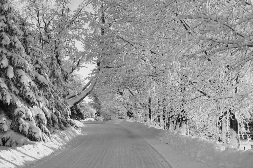 Canadian winter Ville de Lac Brome Quebec Canada Canvas Art - David Chapman Design Pics (19 x 12)