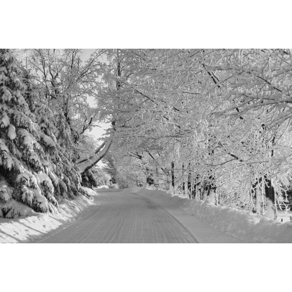 Canadian winter Ville de Lac Brome Quebec Canada Canvas Art - David Chapman Design Pics (19 x 12)