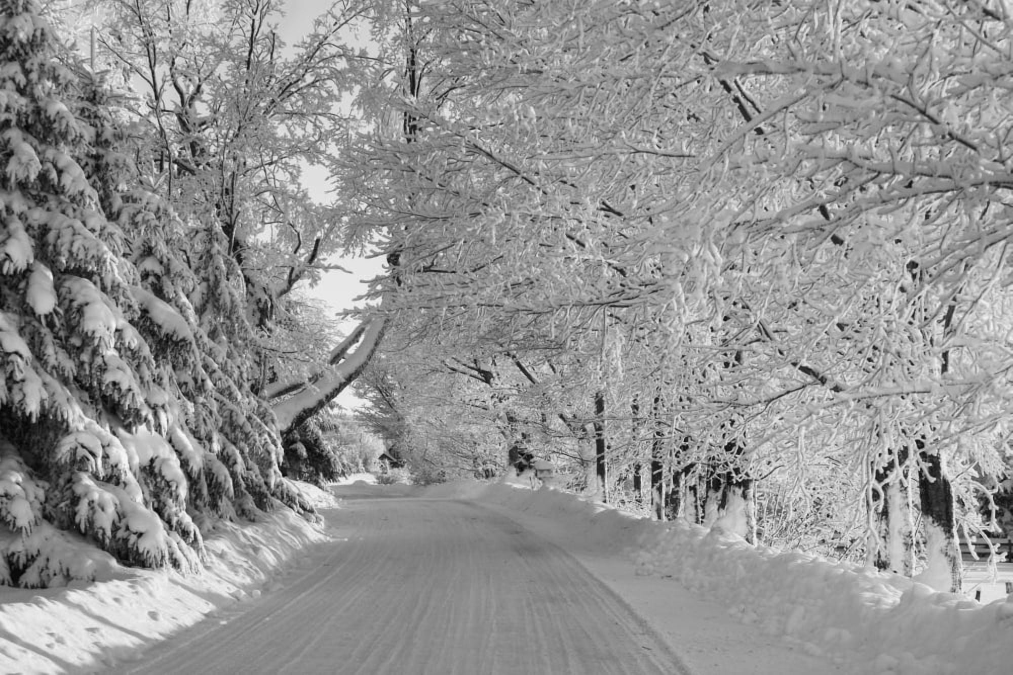 Canadian winter Ville de Lac Brome Quebec Canada Canvas Art - David Chapman Design Pics (38 x 24)