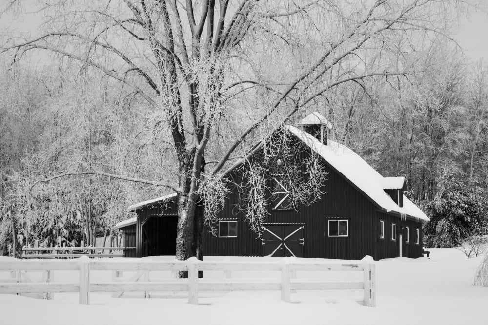 Canadian winter on a farm Ville de Lac Brome Quebec Canada Canvas Art - David Chapman Design Pics (19 x 12)
