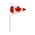thumbnail image 1 of Canandian Flag and Maple  Toothpick Triangle Cupcake Toppers Flag, 1 of 3