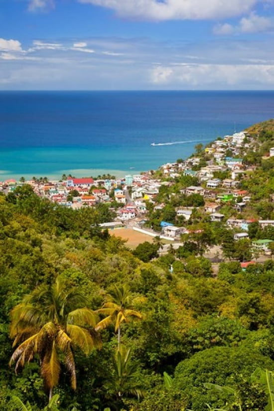Canaries St Lucia West Indies Caribbean Canvas Art - Brian Jannsen DanitaDelimont (19 x 28)