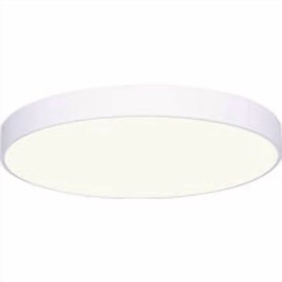 Canarm 8 In. Edgeless Disc Flush Mount Ceiling Light Fixture