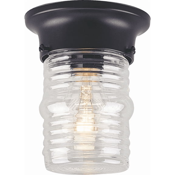 Canarm Outdoor Ceiling Light Fixture - Pack of 4  Residential Use, Standard Application