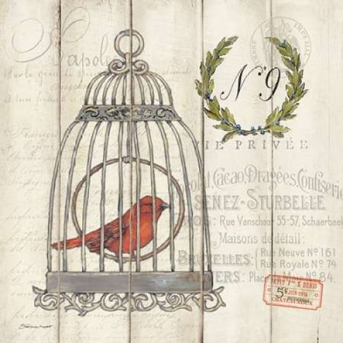Canary Canvas Art - Stephanie Marrott (24 x 24)