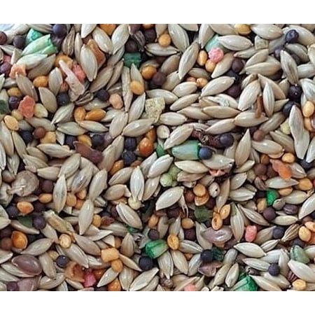 Canary Food Roller Cuisine Mix w/ Fruits, Vegetables & Vitamins