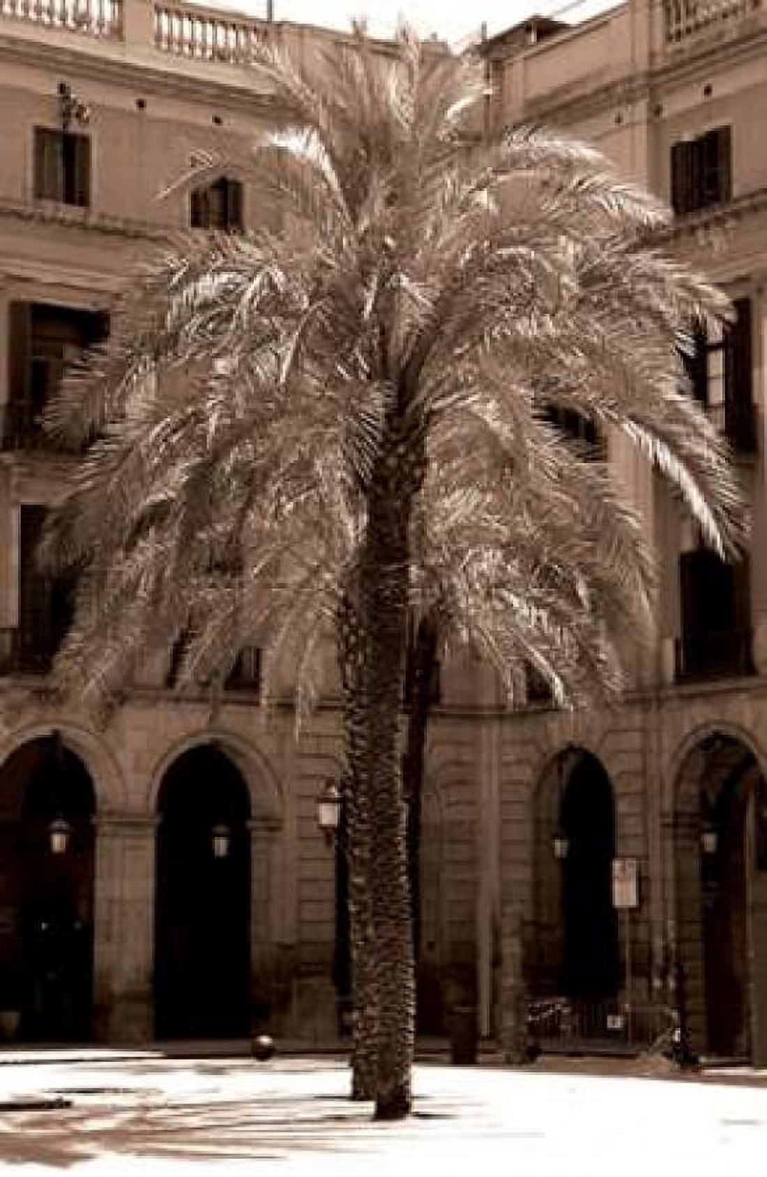 Canary Palm Barcelona Canvas Art - Cyril Blue (12 x 18)