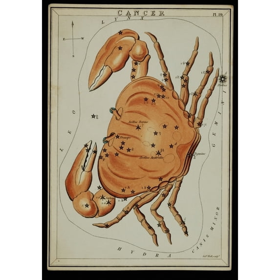 Cancer Constellation, Zodiac Sign, 1825 Poster Print by Science Source (24 x 36)