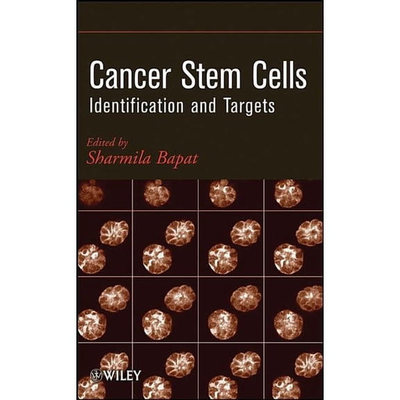 Cancer Stem Cells: Identification and Targets, (Hardcover)