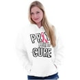 thumbnail image 1 of Cancer Sucks Breast Awareness Quote Women Plus Size Graphic Pullover Hoodie Brisco Brands 4X, 1 of 4