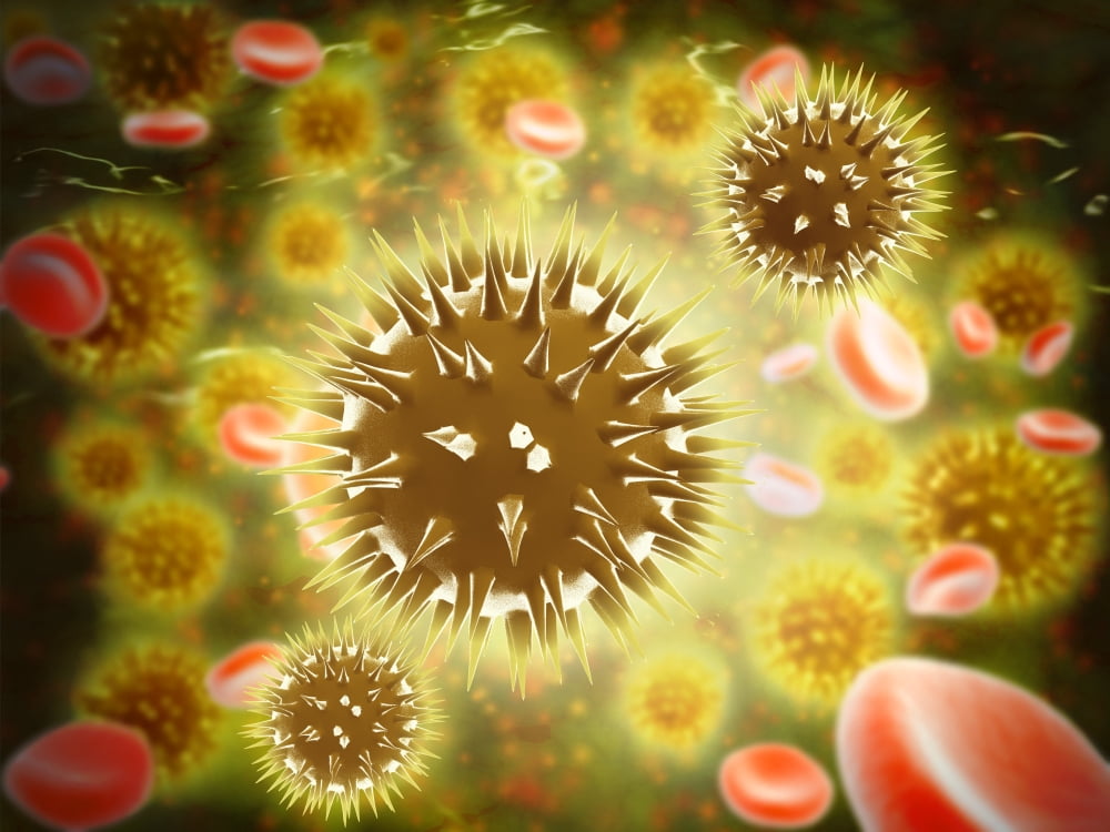 Cancer cell with red blood cell flow Canvas Art - Stocktrek Images (33 x 25)