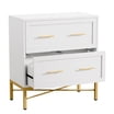 Ktaxon Wood 2-Drawer File Cabinet Office Filing Organizer for Home ...