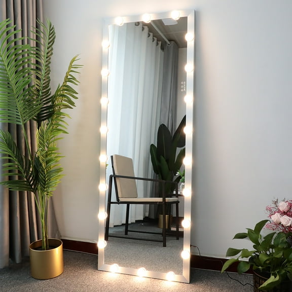 Canddidliike Full Length Mirror Wall-Mounted Vanity Mirror Leaning Against Wall Mirror with LED Lights for Bedroom Hotel Silver Frame