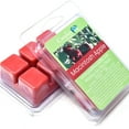 thumbnail image 1 of Candeo Candle, Macintosh Apple, Soy Melt Cubes, 2-Pack, 1 of 2