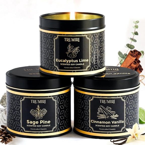 Candle Gift Set Of 3 Sage Pine|Cinnamon Vanilla|Eucalyptus Lime Highly Scented Soy Candels Clean Non Toxic Velas Aromticas Favors For Women Coworkers Friends Guests Also Diwali Christmas Holidays